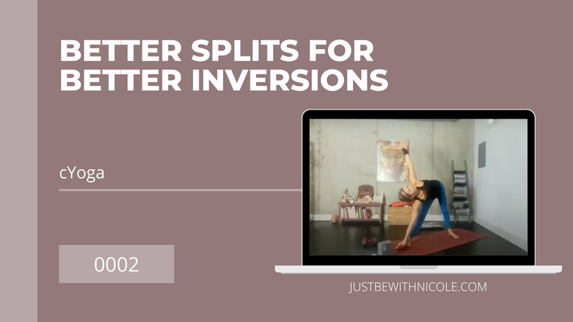 0002 - Better Splits for Better Inversions